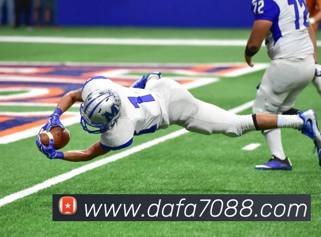 App Interface Preview