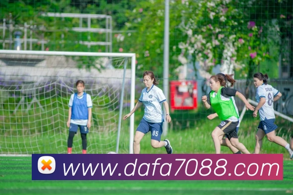 大发彩票官网APP 封面图